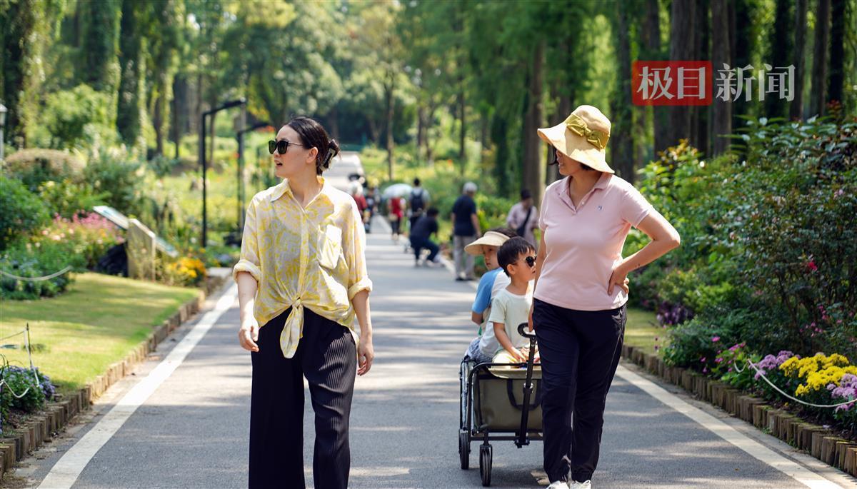 龙八娱乐登录